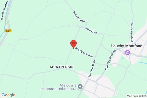 Courtiau Michel