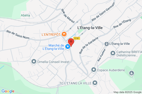 Conseil Local De La Vie Associative