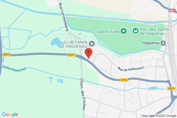 a2n courtage