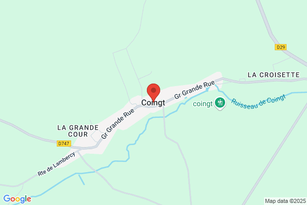 Cotingest