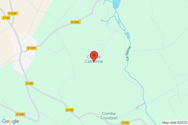 Combes Catherine