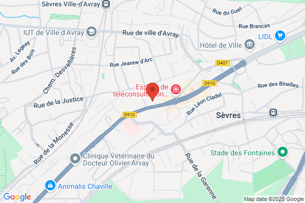voyant medium maitre drame