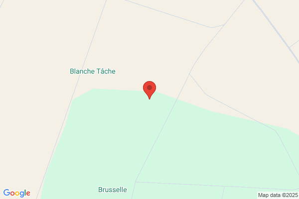 Cerisier Michel