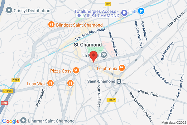 Demenageurs Stephanois Sarl