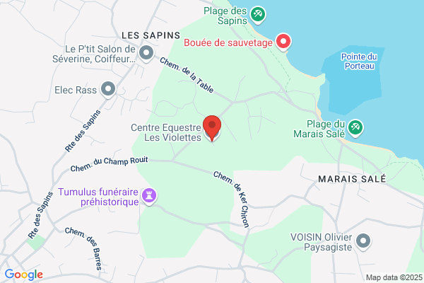 Comite D Etablissement Michelin Centre Socio Educatif