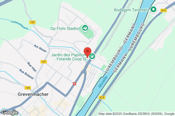 Garage Soldan Et Fils