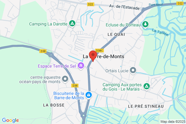 Art Cote Vegetal