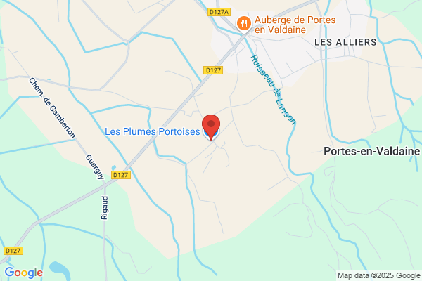Les plumes Portoises