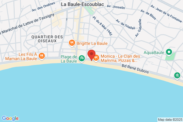 Club Des Dauphins
