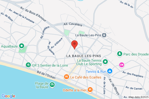 GARAGE DES PALMIERS