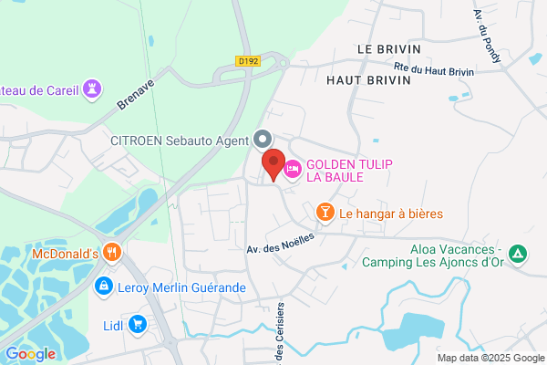 A.C.E Consultant (Assistance Conformité Européenne)