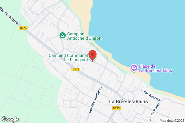 Camping Communal Le Planginot