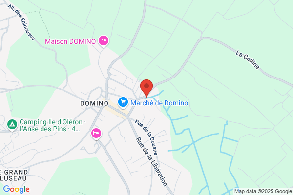 Distribution Domino Ste