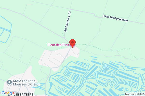 Hotel Fleur Des Pins