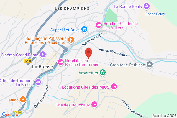 Hotel Chalet Des Roches