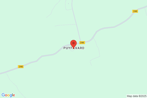 Oie du Périgord vert