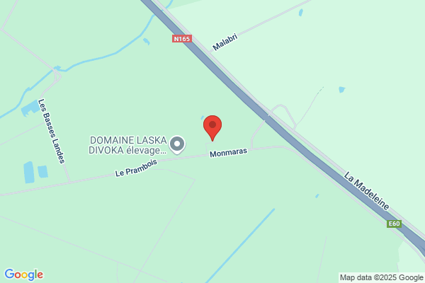 CTR COUVERTURE EN CHAUME