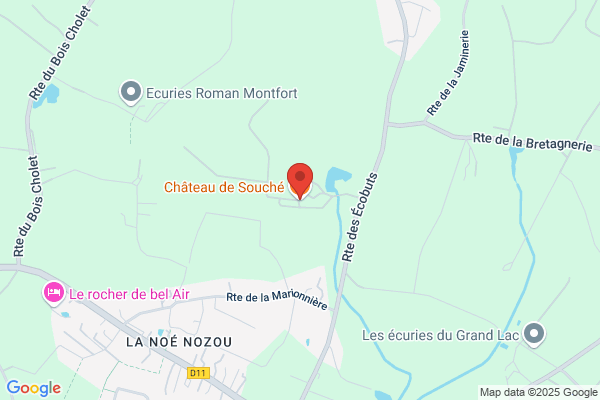 Château de Souché