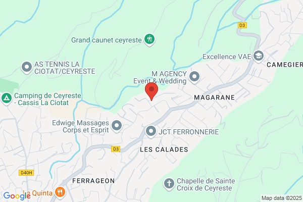 ANTERES détection service