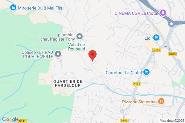 Hospidex France
