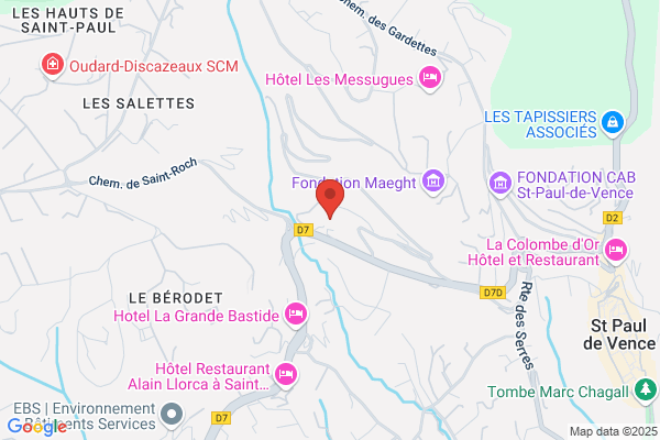 Comfort Hotel Vergers De St Paul Franchise