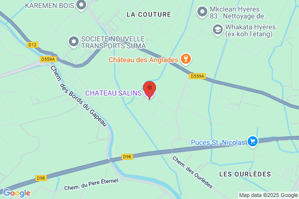 Chateau Salin