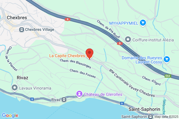 Domaine De La Capite