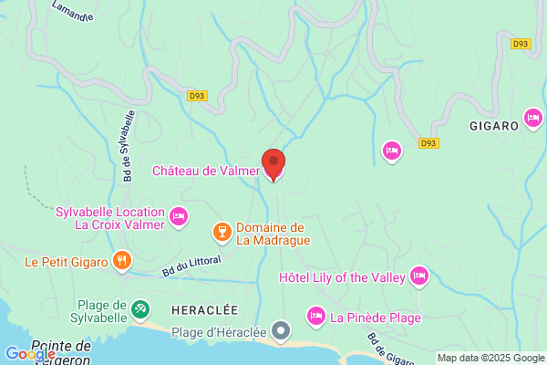 Hotel Chateau Valmer