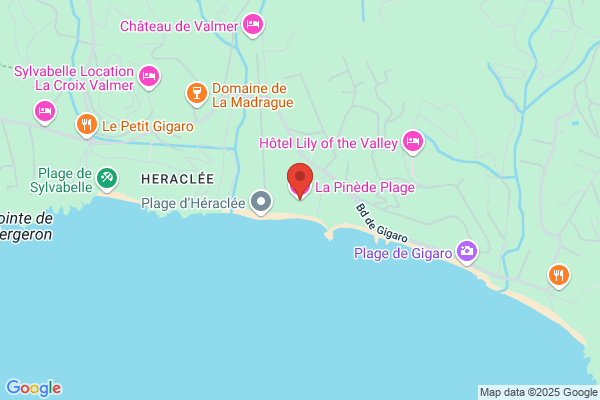 Hotel La Pinede Plage