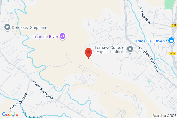 Centre Canin De Provence