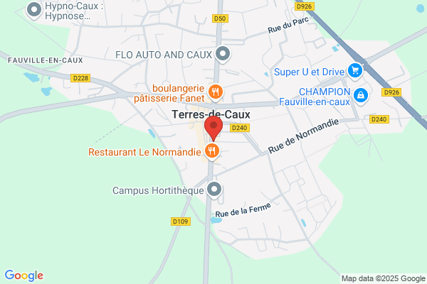 Hotel Restaurant Du Commerce