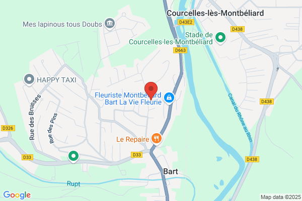 Drone D'envie
