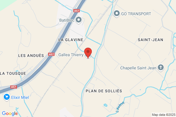 Gallea Thierry