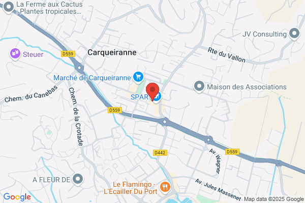 Carqueiranne Immobilier