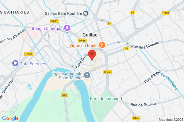 Gaillac Bernard Medecin