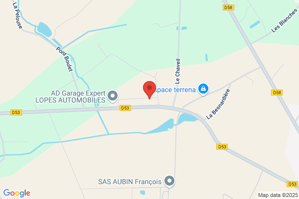 Aristée