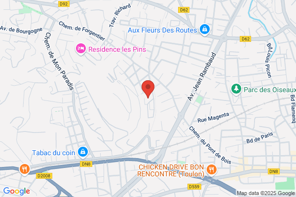 C Net France