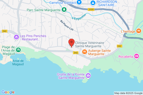 Clinique Veterinaire Ste Marguerite
