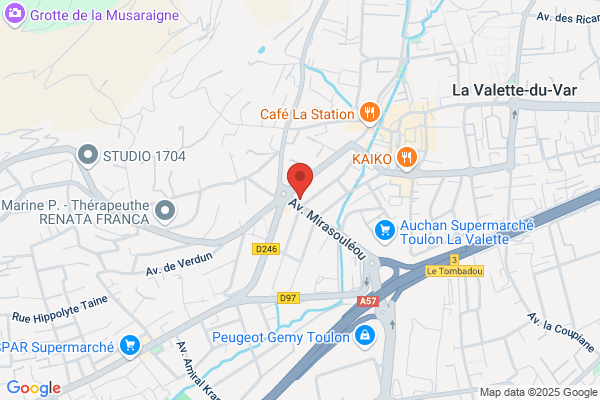 Domonici Pierre Veterinaire