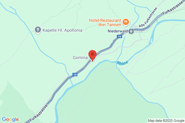 Gomina