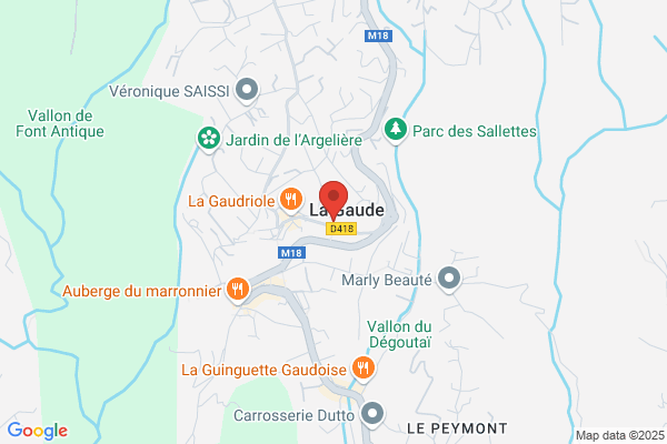 BRAND DOMINIQUE