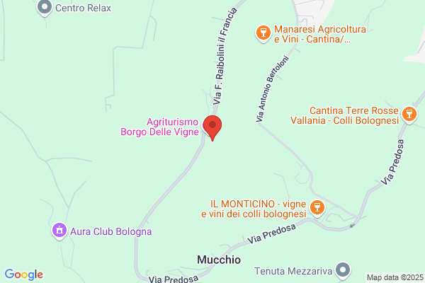 Gaggioli Michel