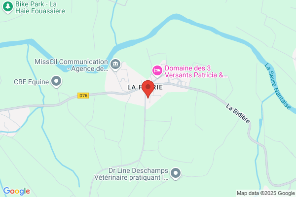La Nantaise du Web