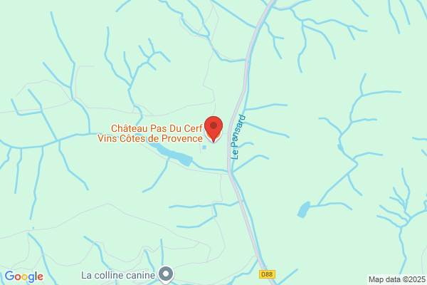 Chateau Pas Du Cerf
