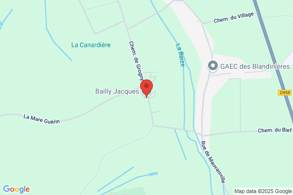Bailly Jacques