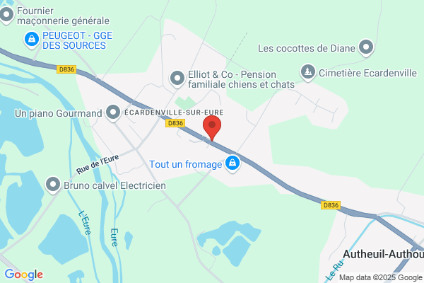 Acte Consultants