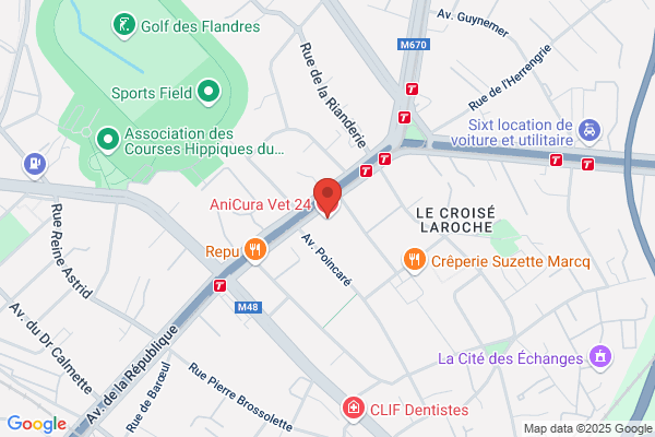 Clinique Veterinaire Du Croise Laroche