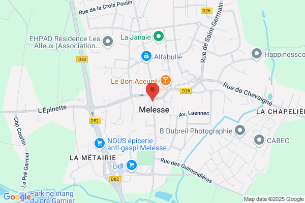 Domino's Pizza Melesse