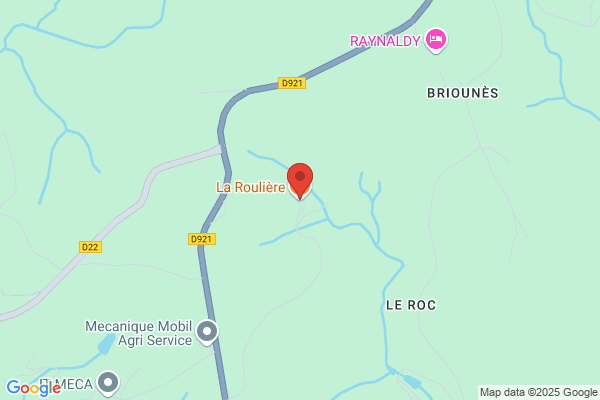 Garage De La Rouliere