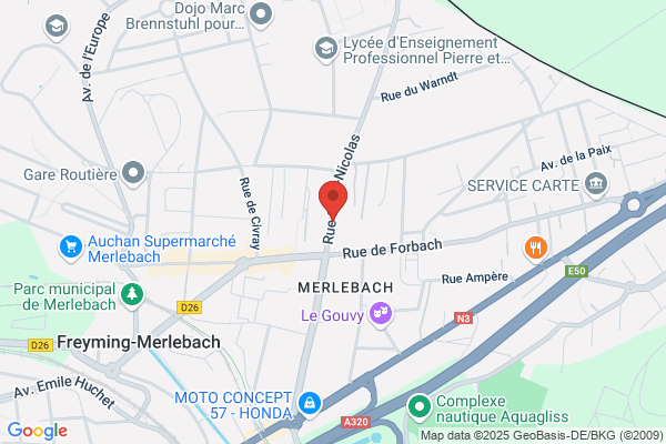 D.M.S (Diffusion Musique Services)